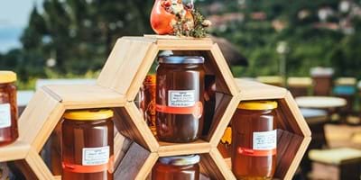Kmetija Depoli, izdelava medu