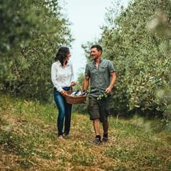 Der Bauernhof Gramona, Spaziergang durch die Olivenhaine
