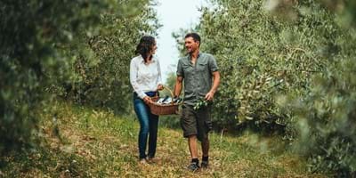 Gramona Farm, a walk among olives