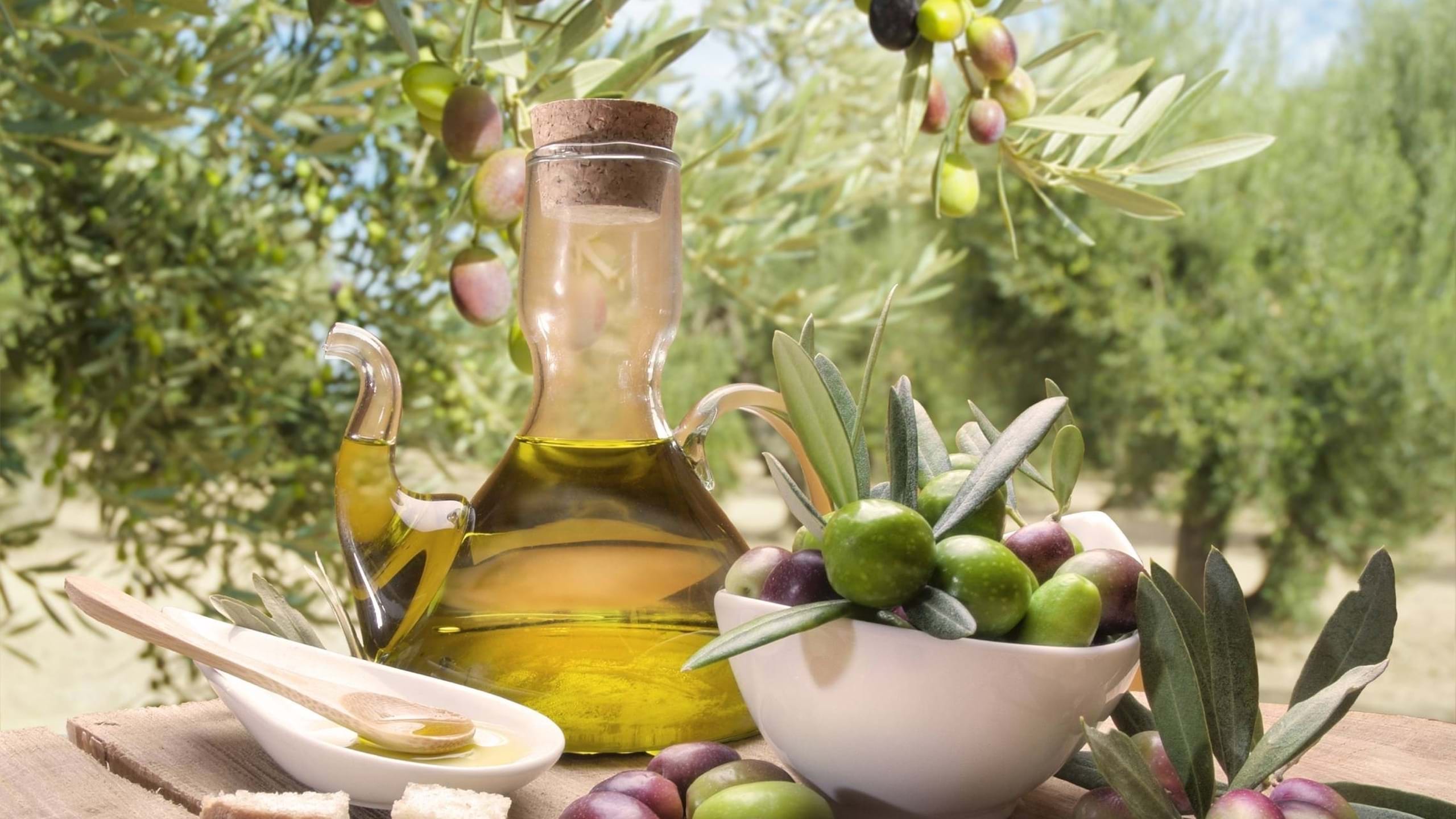 Das Fest des Olivenöls und des Mnagolds in Padna