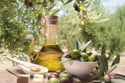 Das Fest des Oliven&#246;ls und des Mnagolds in Padna